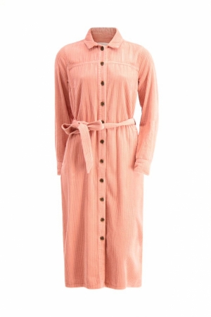 kleed lm rose