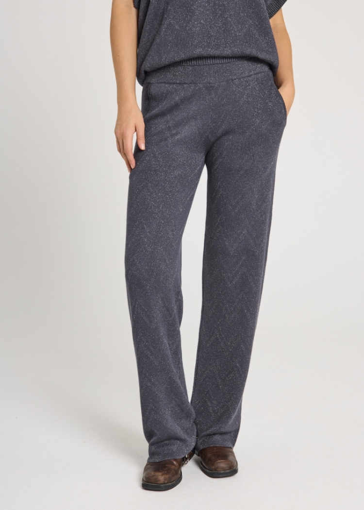 Anilux pants metallic Gray Pinstripe 