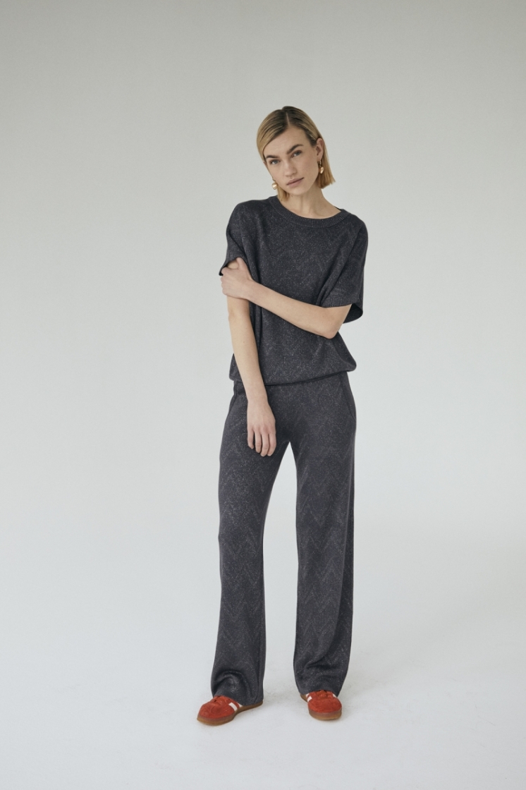 Anilux pants metallic Gray Pinstripe 