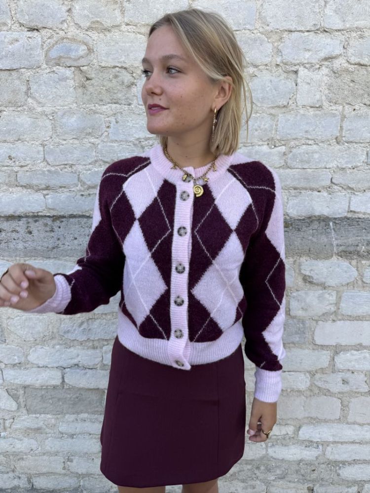 Rita Short Skirt  Tawny Port