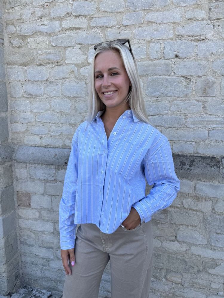 Aria Short Boxy Shirt  Ice melt